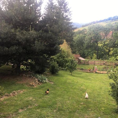 Gites De Gobertier Saint-Alban-d'Ay Bagian luar foto
