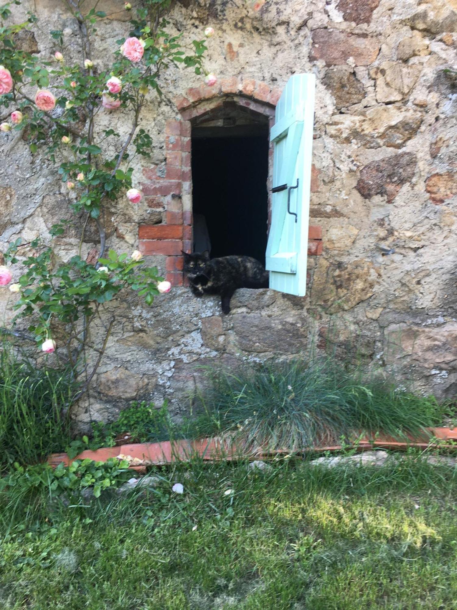 Gites De Gobertier Saint-Alban-d'Ay Bagian luar foto